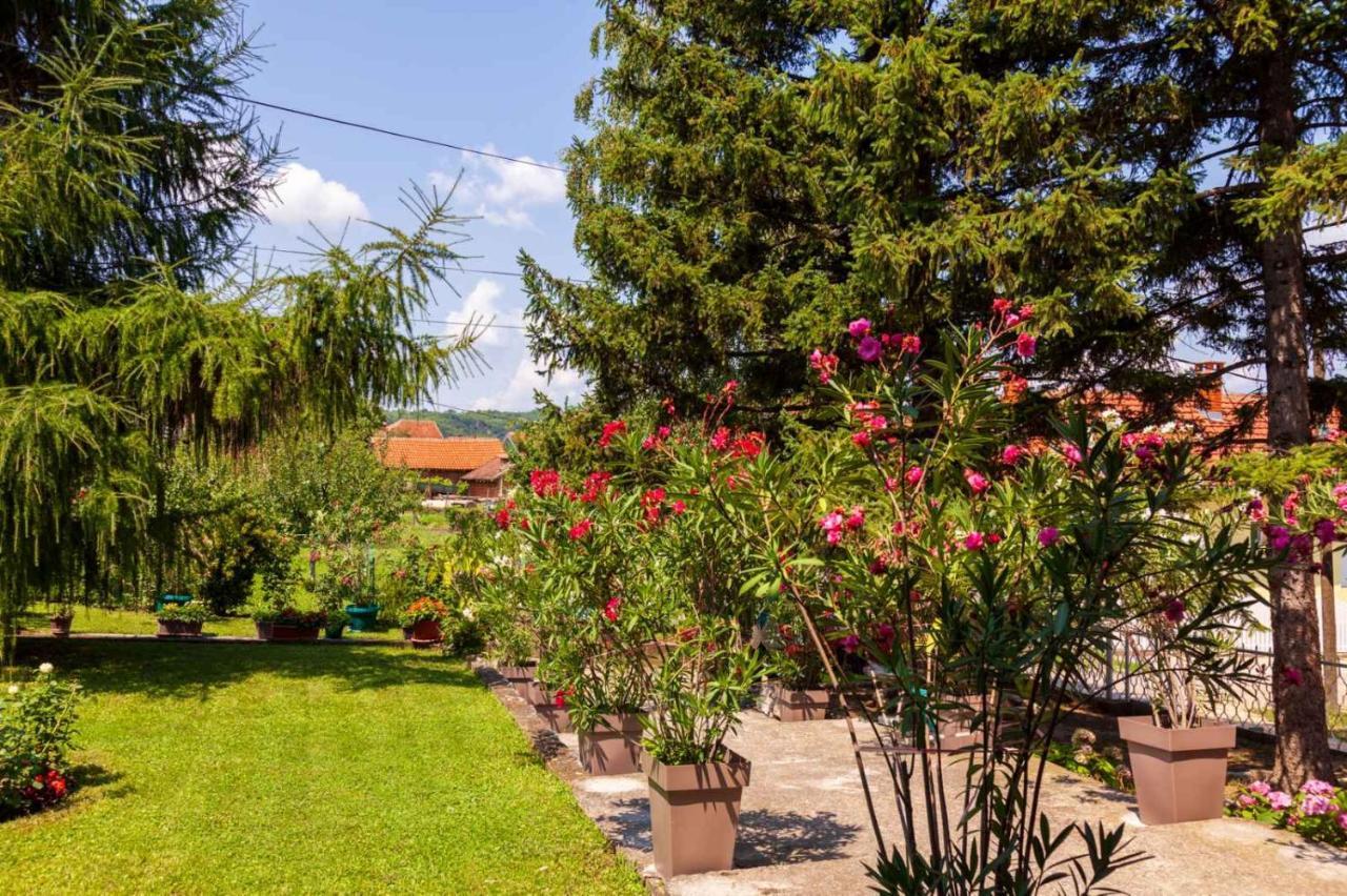 Studio 2 Golubac Eksteriør bilde