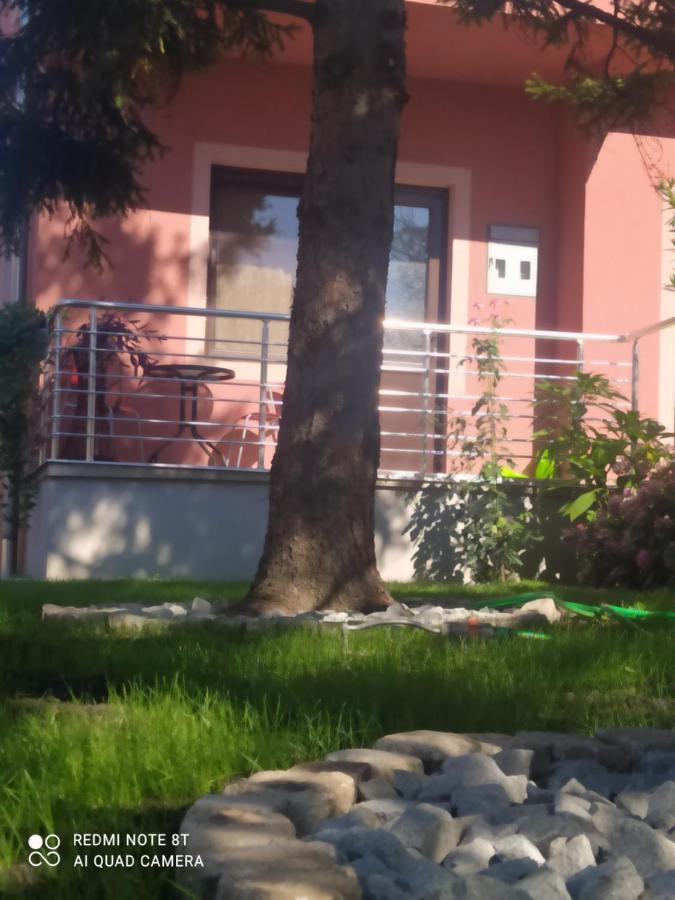 Studio 2 Golubac Eksteriør bilde